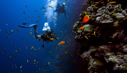 ダイビング